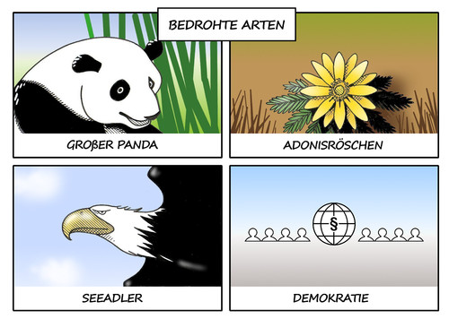 Cartoon: Bedrohte Arten (medium) by Erl tagged tier,art,bedroht,panda,adonisröschen,seeadler,demokratie,karikatur,erl,tier,art,bedroht,panda,adonisröschen,seeadler,demokratie,karikatur,erl