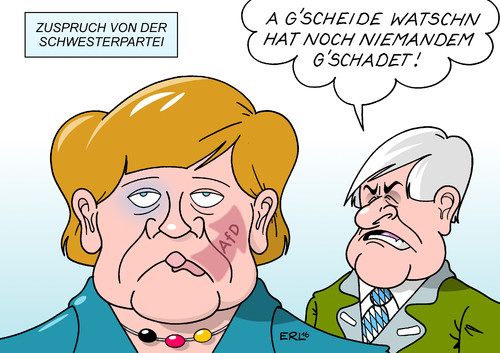 CDU CSU