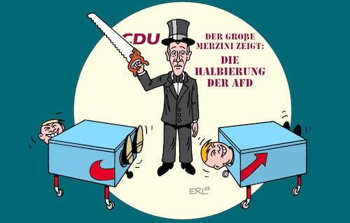 Die Halbierung der Afd