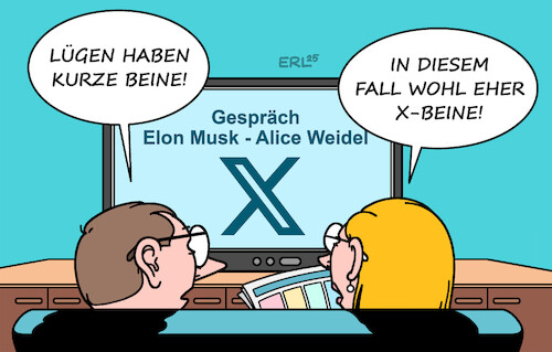 Elon Musk Alice Weidel