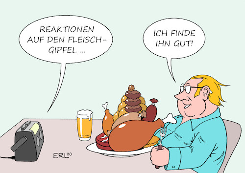 Gipfelsturmer Von Erl Politik Cartoon Toonpool