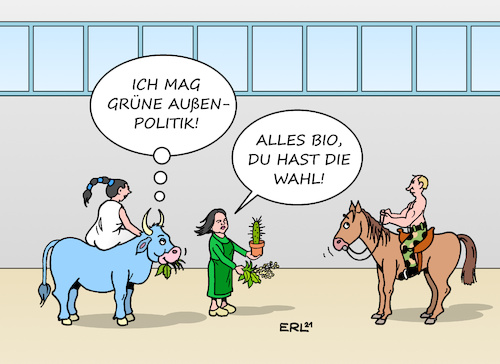 Grüne Außenpolitik II