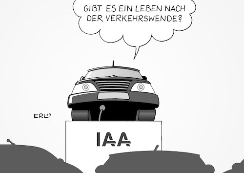 IAA