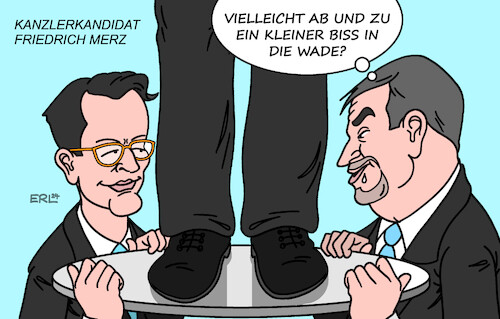 Cartoon: Merz (medium) by Erl tagged politik,union,cdu,csu,kanzlerkandidat,friedrich,merz,wüst,söder,wadenbeisser,karikatur,erl,politik,union,cdu,csu,kanzlerkandidat,friedrich,merz,wüst,söder,wadenbeisser,karikatur,erl