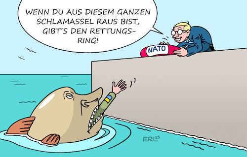 Cartoon: NATO-Perspektive (medium) by Erl tagged politik,krieg,angriff,überfall,russland,ukraine,bitte,beitritt,nato,gipfel,aufnahme,schwierig,kriegspartei,wladimir,putin,raubfisch,rettungsring,wolodymyr,selenskyj,meer,karikatur,erl,politik,krieg,angriff,überfall,russland,ukraine,bitte,beitritt,nato,gipfel,aufnahme,schwierig,kriegspartei,wladimir,putin,raubfisch,rettungsring,wolodymyr,selenskyj,meer,karikatur,erl