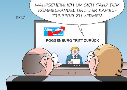 Poggenburg Rücktritt