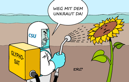 Cartoon: Söder und die Grünen (medium) by Erl tagged politik,csu,söder,ausschluss,koalition,bund,grüne,sonnenblume,unkraut,glyphosat,karikatur,erl,politik,csu,söder,ausschluss,koalition,bund,grüne,sonnenblume,unkraut,glyphosat,karikatur,erl