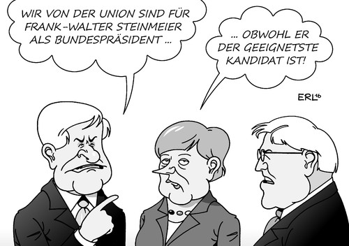 Steinmeier Union