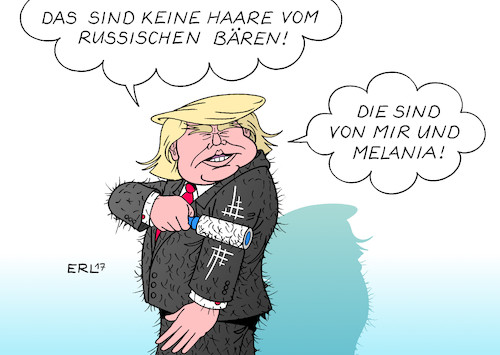 Cartoon: Trumps Fusselroller (medium) by Erl tagged usa,präsident,donald,trump,verdacht,vorwurf,wahlkampf,kontakt,russland,wahl,beeinflussung,internet,schmutzkampagne,hillary,clinton,anwälte,verteidigung,strategie,fusselroller,haare,russischer,bär,melania,karikatur,erl,usa,präsident,donald,trump,verdacht,vorwurf,wahlkampf,kontakt,russland,wahl,beeinflussung,internet,schmutzkampagne,hillary,clinton,anwälte,verteidigung,strategie,fusselroller,haare,russischer,bär,melania,karikatur,erl