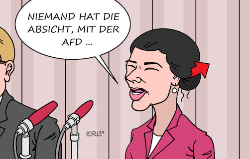 Wagenknecht