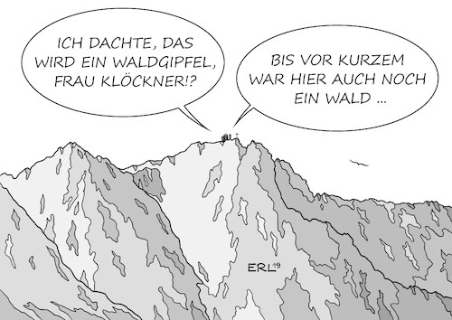 Waldgipfel