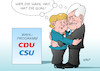 CDU CSU