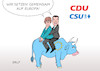 CDU CSU Europawahl
