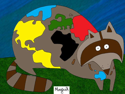 Cartoon: MAPAche (medium) by Munguia tagged mapache,racoon,mapa,munguia,calcamunguias,costa,rica