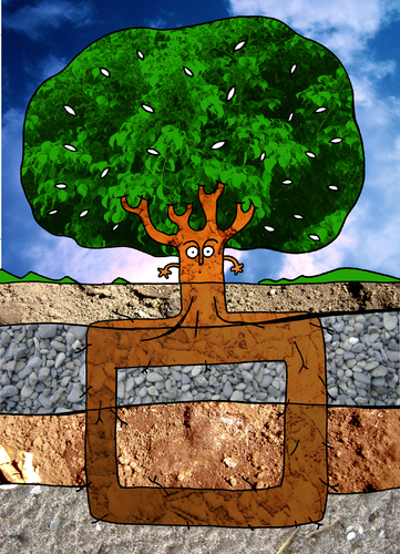 Cartoon: Square Root (medium) by Munguia tagged square,root,three,arbol,raiz,cuadrada,matematicas,math