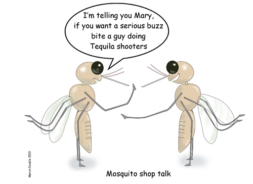 Cartoon: Mosquito Shop Talk (medium) by mdouble tagged mosquito,canada,booze,insect