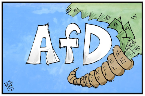 AfD-Spendenaffäre