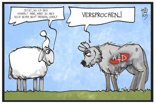 AfD-Wähler