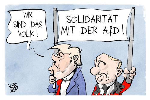 AfD AfD