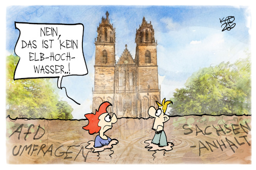 AfD in Sachsen-Anhalt