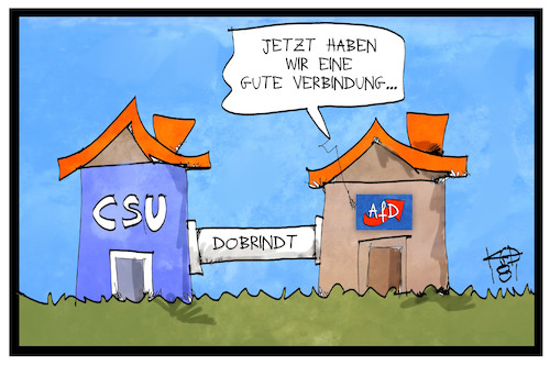 AfD und CSU