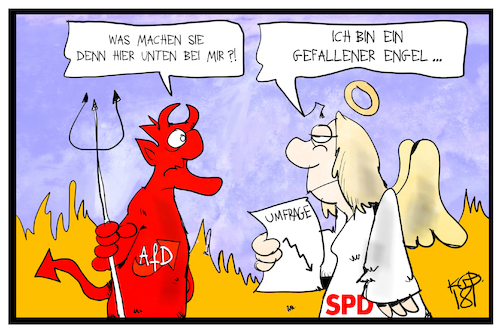 AfD und SPD