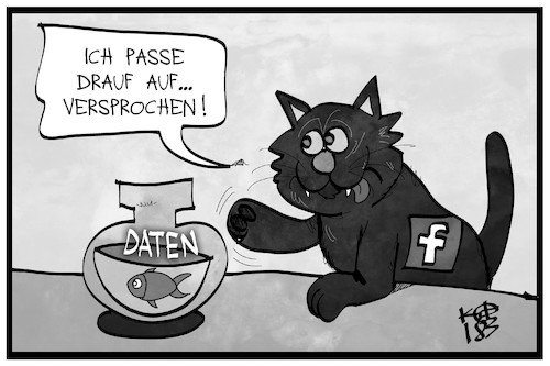 Cartoon: Barley mahnt Facebook zu mehr Da (medium) by Kostas Koufogiorgos tagged karikatur,koufogiorgos,illustration,cartoon,facebook,katze,fisch,datenschutz,nutzerdaten,verbraucherschutz,soziale,medien,datenskandal,karikatur,koufogiorgos,illustration,cartoon,facebook,katze,fisch,datenschutz,nutzerdaten,verbraucherschutz,soziale,medien,datenskandal