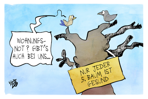 Cartoon: Baumgesundheit (medium) by Kostas Koufogiorgos tagged karikatur,koufogiorgos,baum,vogel,wald,natur,gesundheit,wohnungsnot,karikatur,koufogiorgos,baum,vogel,wald,natur,gesundheit,wohnungsnot