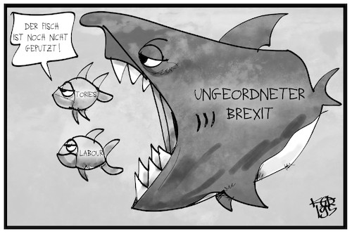 Cartoon: Brexit (medium) by Kostas Koufogiorgos tagged karikatur,koufogiorgos,illustration,cartoon,brexit,labour,tories,fisch,hai,uk,eu,austritt,ungeordnet,fressen,partei,grossbritannien,karikatur,koufogiorgos,illustration,cartoon,brexit,labour,tories,fisch,hai,uk,eu,austritt,ungeordnet,fressen,partei,grossbritannien