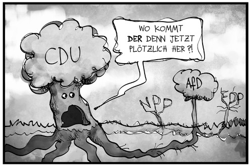 Cartoon: CDU und AfD (medium) by Kostas Koufogiorgos tagged karikaturen,illustration,cartoon,koufogiorgos,baum,wurzel,pflanze,cdu,afd,fdp,npd,partei,politik,wahlergebnis,karikaturen,illustration,cartoon,koufogiorgos,baum,wurzel,pflanze,cdu,afd,fdp,npd,partei,politik,wahlergebnis