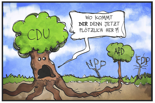 CDU und AfD