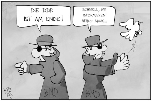 Cartoon: Der BND informiert (medium) by Kostas Koufogiorgos tagged karikatur,koufogiorgos,illustration,cartoon,bnd,maas,information,brieftaube,ddr,agent,spion,karikatur,koufogiorgos,illustration,cartoon,bnd,maas,information,brieftaube,ddr,agent,spion