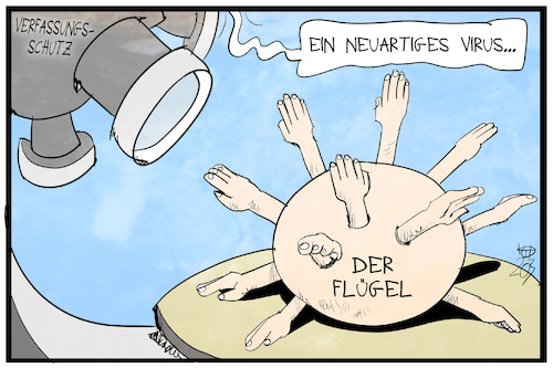 Der Flügel