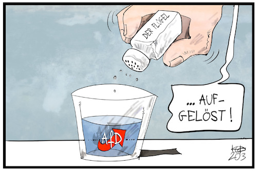 Cartoon: Der Flügel (medium) by Kostas Koufogiorgos tagged karikatur,koufogiorgos,illustration,cartoon,afd,fluegel,rechtsextremismus,auflösen,partei,rassismus,karikatur,koufogiorgos,illustration,cartoon,afd,fluegel,rechtsextremismus,auflösen,partei,rassismus