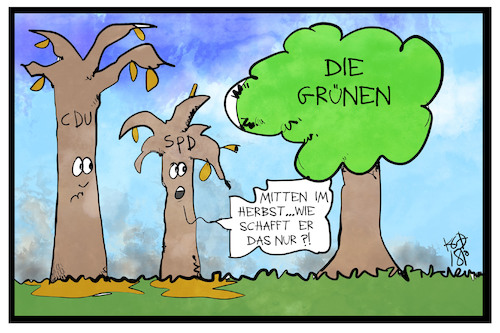 Cartoon: Die Immergrünen (medium) by Kostas Koufogiorgos tagged karikatur,koufogiorgos,illustration,cartoon,grüne,cdu,spd,baum,partei,wahlergebnis,politik,demokratie,karikatur,koufogiorgos,illustration,cartoon,grüne,cdu,spd,baum,partei,wahlergebnis,politik,demokratie