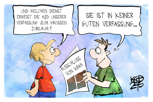 Die Verfassung der AfD