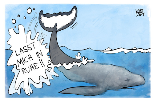 Cartoon: Die Walrettung (medium) by Kostas Koufogiorgos tagged karikatur,koufogiorgos,wal,timmy,rettung,ruhe,ostsee,poel,karikatur,koufogiorgos,wal,timmy,rettung,ruhe,ostsee,poel