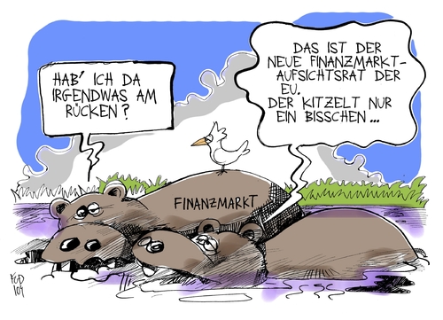 Finanzmarktaufsichtsrat