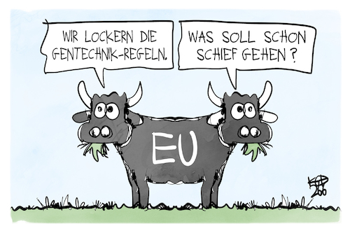 Cartoon: Gentechnik (medium) by Kostas Koufogiorgos tagged koufogiorgos,karikatur,gentechnik,stier,koufogiorgos,karikatur,gentechnik,stier