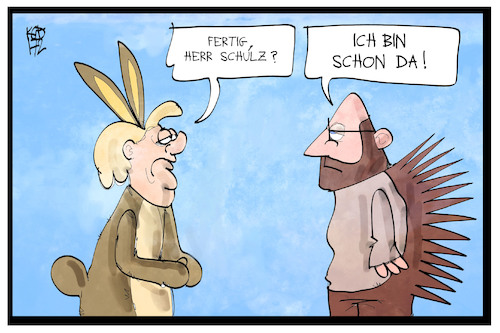 Cartoon: Hase Merkel und Igel Schulz (medium) by Kostas Koufogiorgos tagged karikatur,koufogiorgos,illustration,cartoon,merkel,schulz,hase,igel,fabel,wettrennen,kandidat,bundeskanzler,politik,wahlkampf,grimm,märchen,karikatur,koufogiorgos,illustration,cartoon,merkel,schulz,hase,igel,fabel,wettrennen,kandidat,bundeskanzler,politik,wahlkampf,grimm,märchen