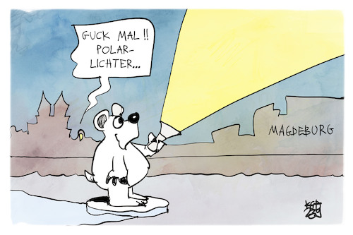 Cartoon: Polarlichter über Magdeburg (medium) by Kostas Koufogiorgos tagged karikatur,koufogiorgos,magdeburg,polarlicht,eisbär,taschenlampe,karikatur,koufogiorgos,magdeburg,polarlicht,eisbär,taschenlampe