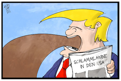 Schlammlawine USA