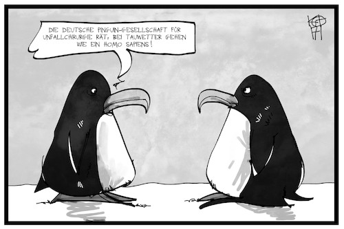 Cartoon: Tipps bei Glatteis (medium) by Kostas Koufogiorgos tagged karikatur,koufogiorgos,illustration,cartoon,pinguin,glatteis,arzt,empfehlung,gesundheit,winter,schnee,watschelgang,vorsorge,prävention,karikatur,koufogiorgos,illustration,cartoon,pinguin,glatteis,arzt,empfehlung,gesundheit,winter,schnee,watschelgang,vorsorge,prävention