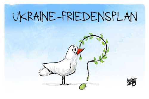 Ukraine-Friedensplan