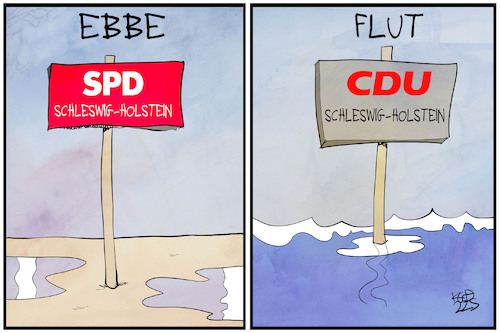 Wahl in Schleswig-Holstein