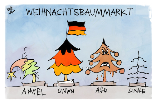 Weihnachtsbaummarkt