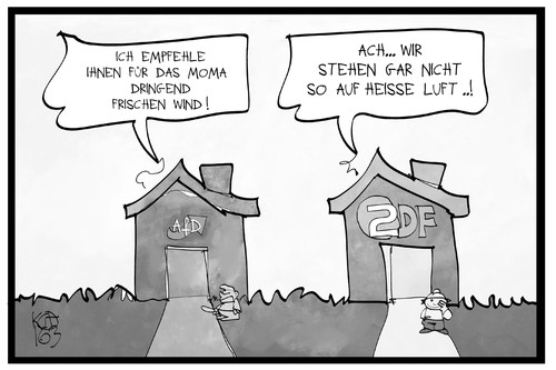 ZDF und AfD