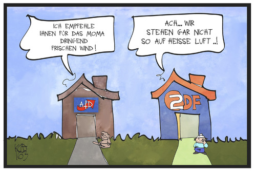 ZDF und AfD