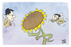 Cartoon: Die Grünen haben die Wahl (small) by Kostas Koufogiorgos tagged karikatur,koufogiorgos,spd,cdu,sonnenblume,wahl,landtagswahl,nrw