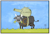 Cartoon: EU-Armee (small) by Kostas Koufogiorgos tagged karikatur,koufogiorgos,illustration,cartoon,eu,europa,union,stier,panzer,grasen,verteidigung,abwehr,militaer,armee,aussenpolitik